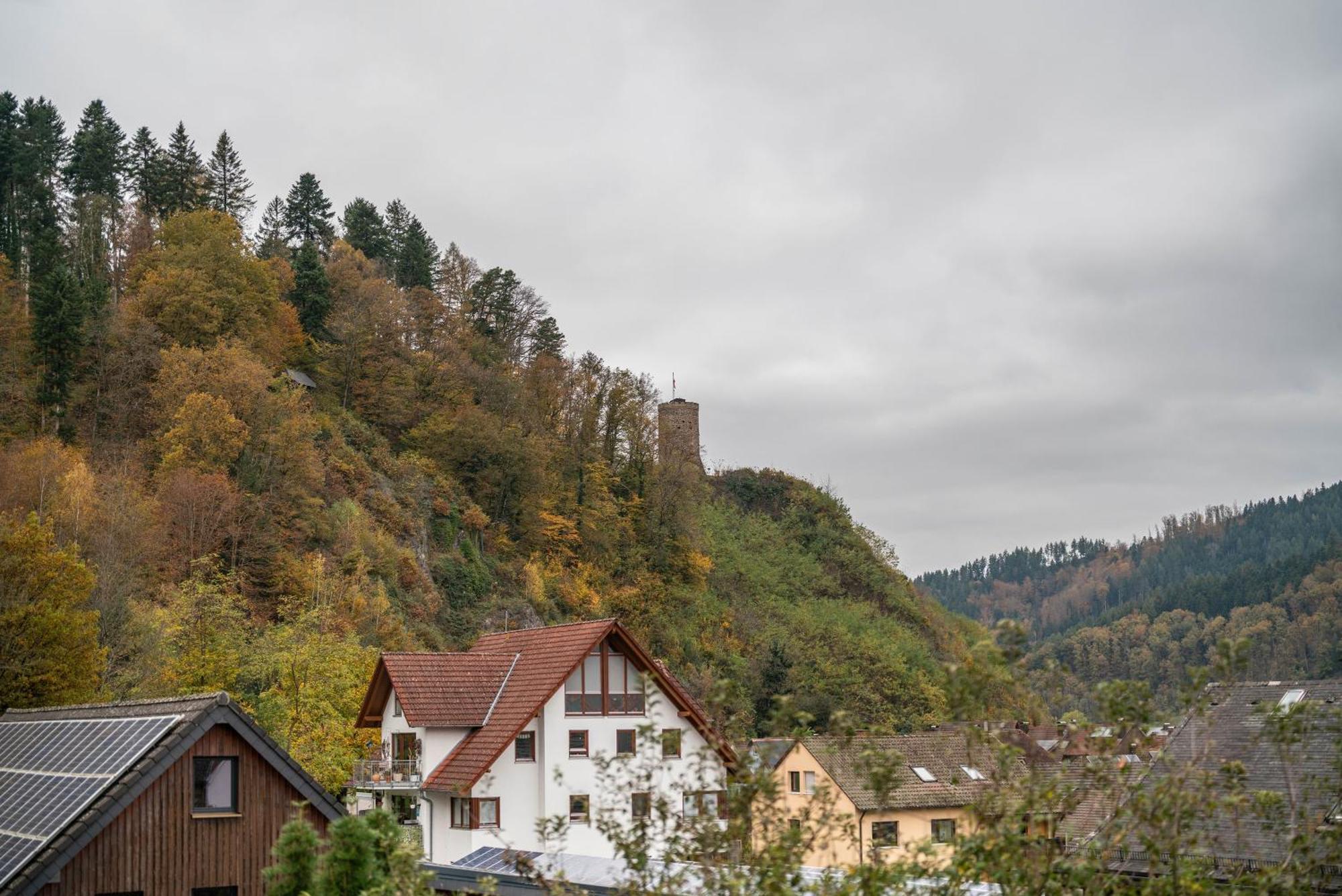 Ferienwohnung Burgblick 豪萨赫 外观 照片
